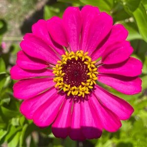 Meet your Posher, Shannyn